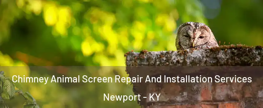  Chimney Animal Screen Repair And Installation Services Newport - KY