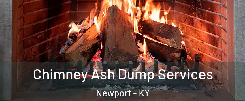  Chimney Ash Dump Services Newport - KY
