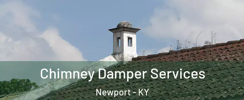  Chimney Damper Services Newport - KY