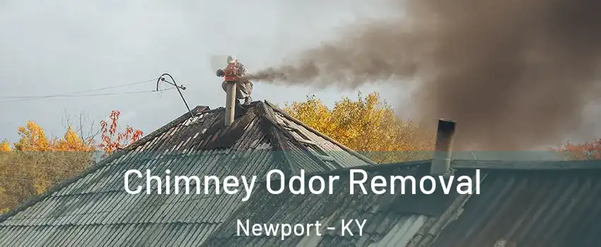  Chimney Odor Removal Newport - KY