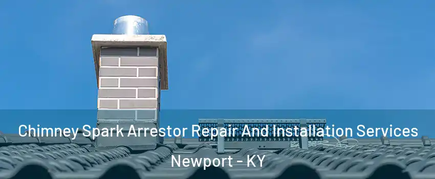  Chimney Spark Arrestor Repair And Installation Services Newport - KY