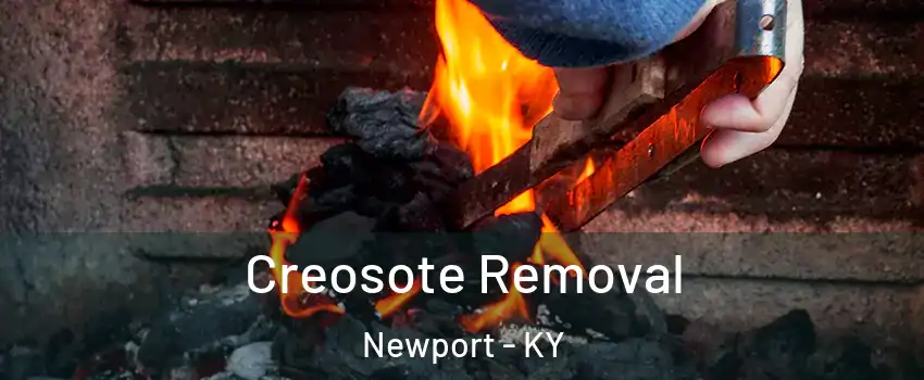  Creosote Removal Newport - KY