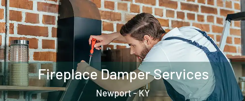  Fireplace Damper Services Newport - KY