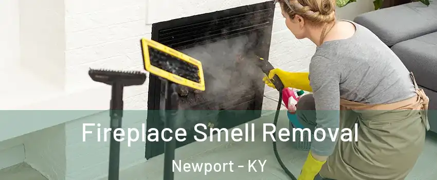  Fireplace Smell Removal Newport - KY