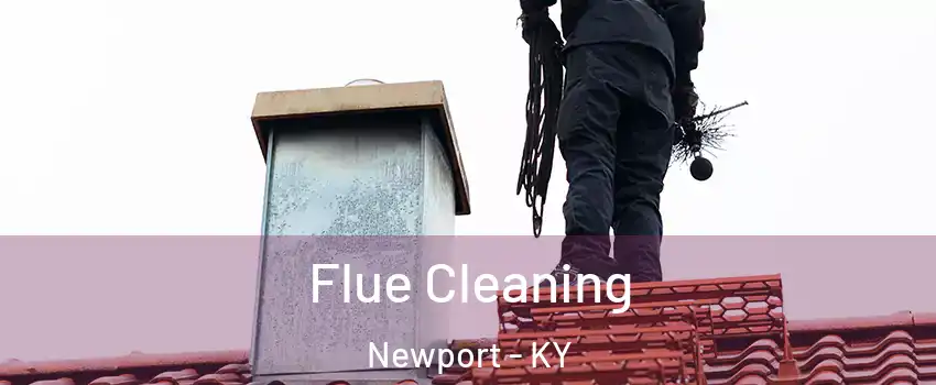  Flue Cleaning Newport - KY