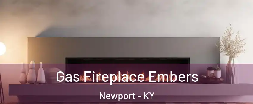 Gas Fireplace Embers Newport - KY