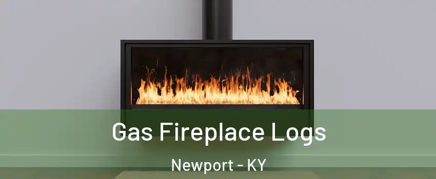  Gas Fireplace Logs Newport - KY