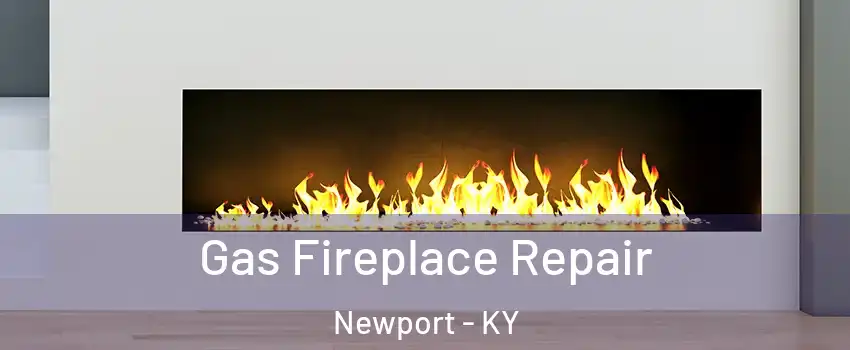 Gas Fireplace Repair Newport - KY