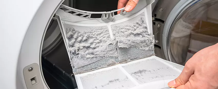 Best Dryer Lint Removal Company in Newport, Kentucky
