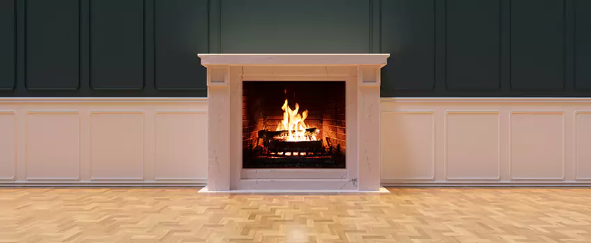 Napoleon Electric Fireplaces Inspection Service in Newport, Kentucky