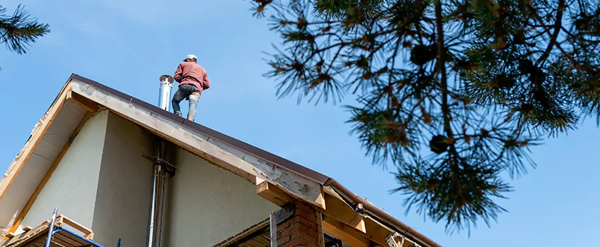 Birds Removal Contractors from Chimney in Newport, KY