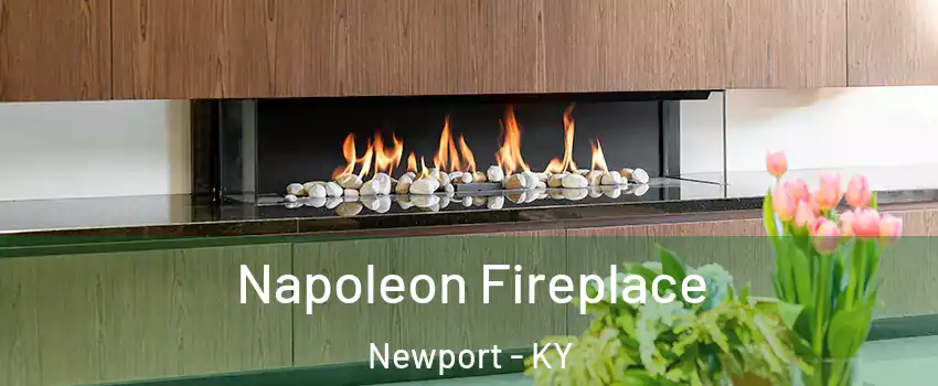  Napoleon Fireplace Newport - KY