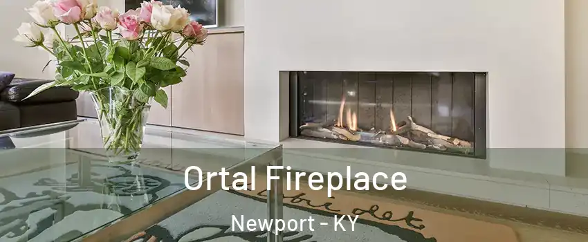 Ortal Fireplace Newport - KY